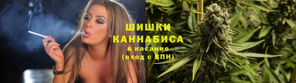 a pvp Магас