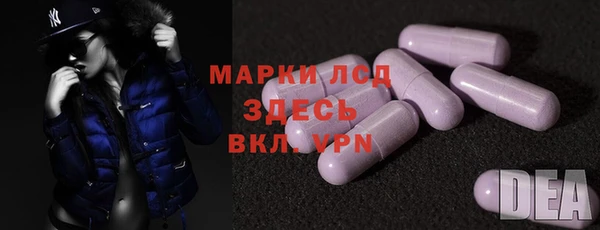 a pvp Магас