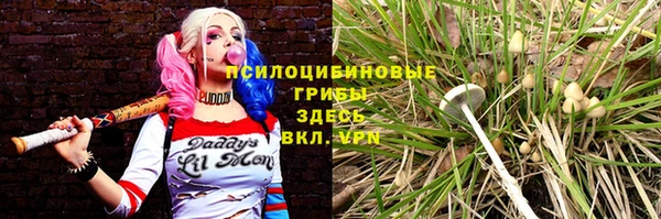 дживик Магадан