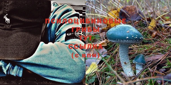 спиды Майский