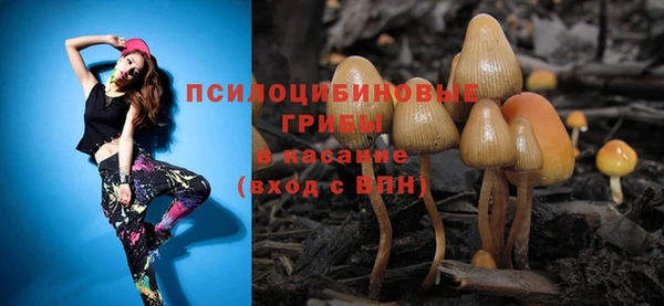 дживик Магадан