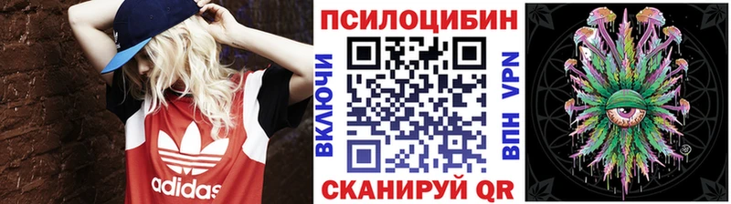продажа наркотиков  Брюховецкая  Псилоцибиновые грибы мухоморы 